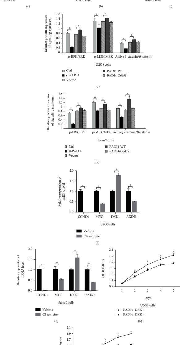 https://cdn.ncbi.nlm.nih.gov/pmc/blobs/1379/8147525/d91db153adec/BMRI2021-5596014.002.jpg