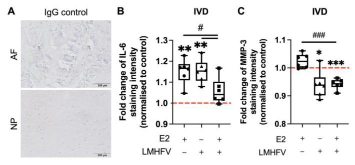https://cdn.ncbi.nlm.nih.gov/pmc/blobs/137a/10094023/5d6eb9a2dd27/ijms-24-06143-g0A5.jpg