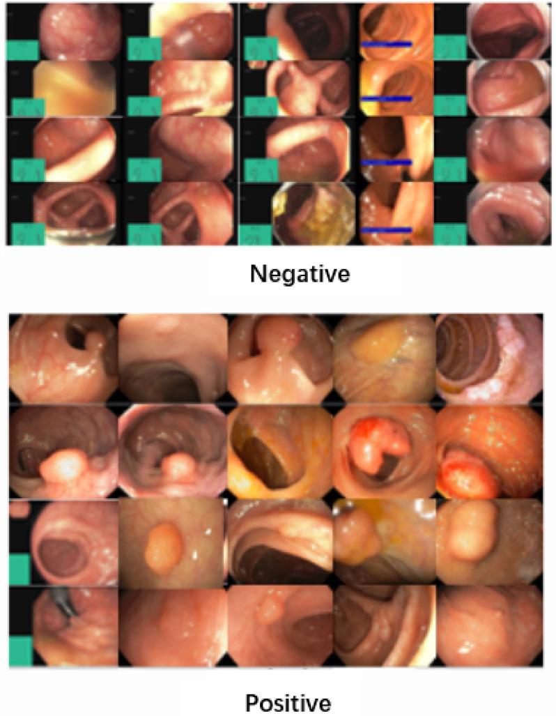 https://cdn.ncbi.nlm.nih.gov/pmc/blobs/137b/11469526/890d1d5cc382/pone.0302800.g006.jpg
