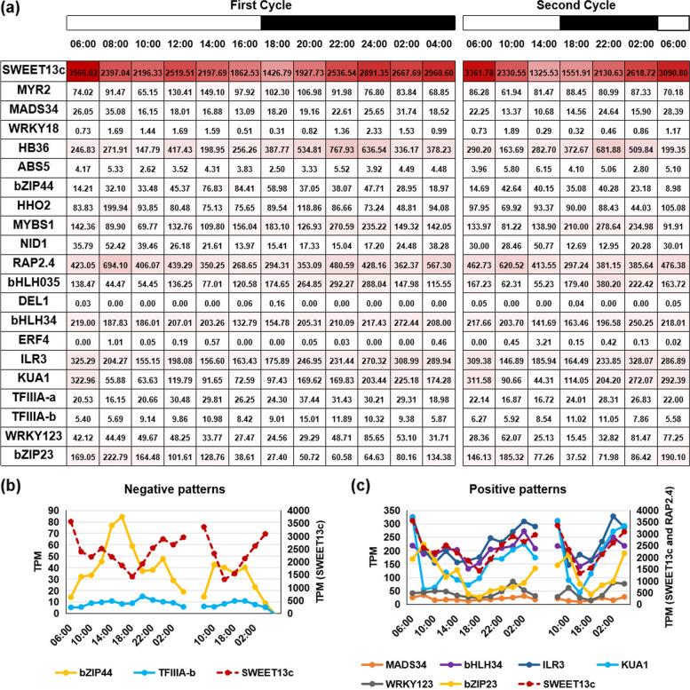 https://cdn.ncbi.nlm.nih.gov/pmc/blobs/137b/9308298/246efc07b7c6/12870_2022_3749_Fig5_HTML.jpg