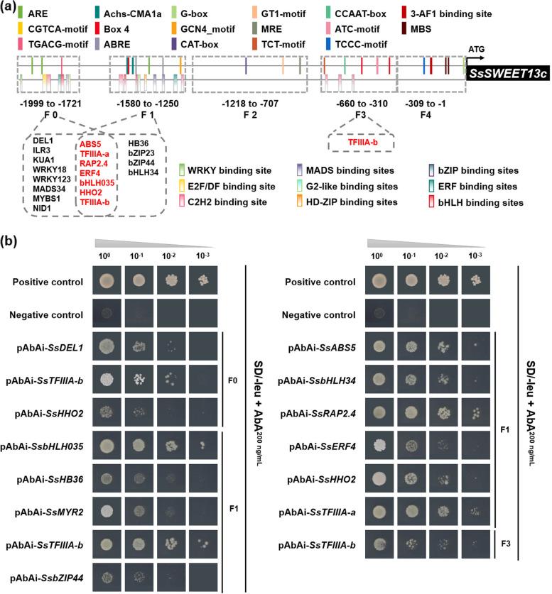 https://cdn.ncbi.nlm.nih.gov/pmc/blobs/137b/9308298/9e455be00566/12870_2022_3749_Fig2_HTML.jpg
