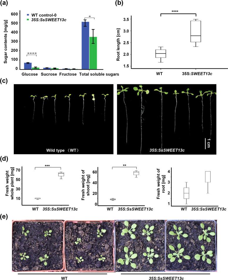 https://cdn.ncbi.nlm.nih.gov/pmc/blobs/137b/9308298/e05e9864ee33/12870_2022_3749_Fig1_HTML.jpg