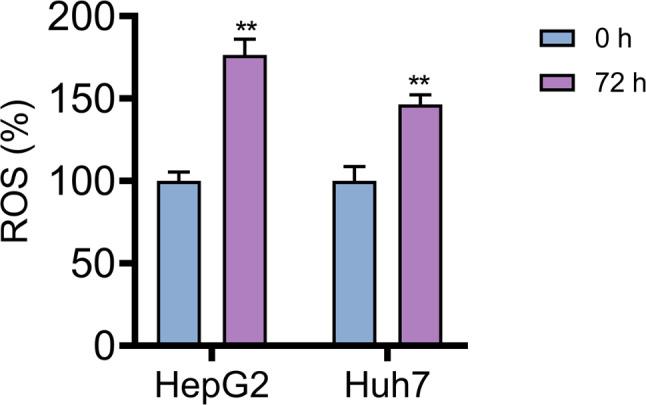 https://cdn.ncbi.nlm.nih.gov/pmc/blobs/137d/11552396/4743ce3ab6f4/12885_2024_13121_Fig4_HTML.jpg