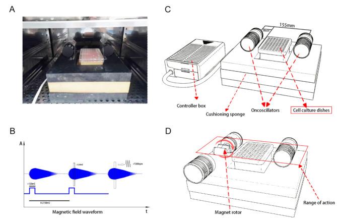 https://cdn.ncbi.nlm.nih.gov/pmc/blobs/137d/11552396/59d53bc3ee20/12885_2024_13121_Fig1_HTML.jpg