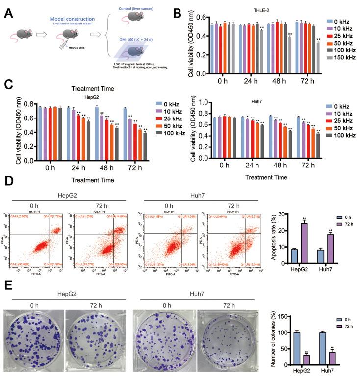 https://cdn.ncbi.nlm.nih.gov/pmc/blobs/137d/11552396/a37819f470c1/12885_2024_13121_Fig2_HTML.jpg