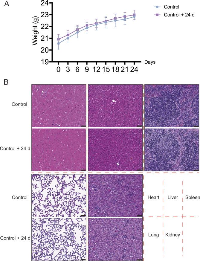 https://cdn.ncbi.nlm.nih.gov/pmc/blobs/137d/11552396/ea750ac22915/12885_2024_13121_Fig5_HTML.jpg
