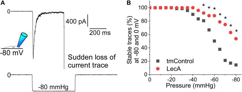 https://cdn.ncbi.nlm.nih.gov/pmc/blobs/137d/7243936/b8c4bc8f96cb/fphys-11-00457-g005.jpg