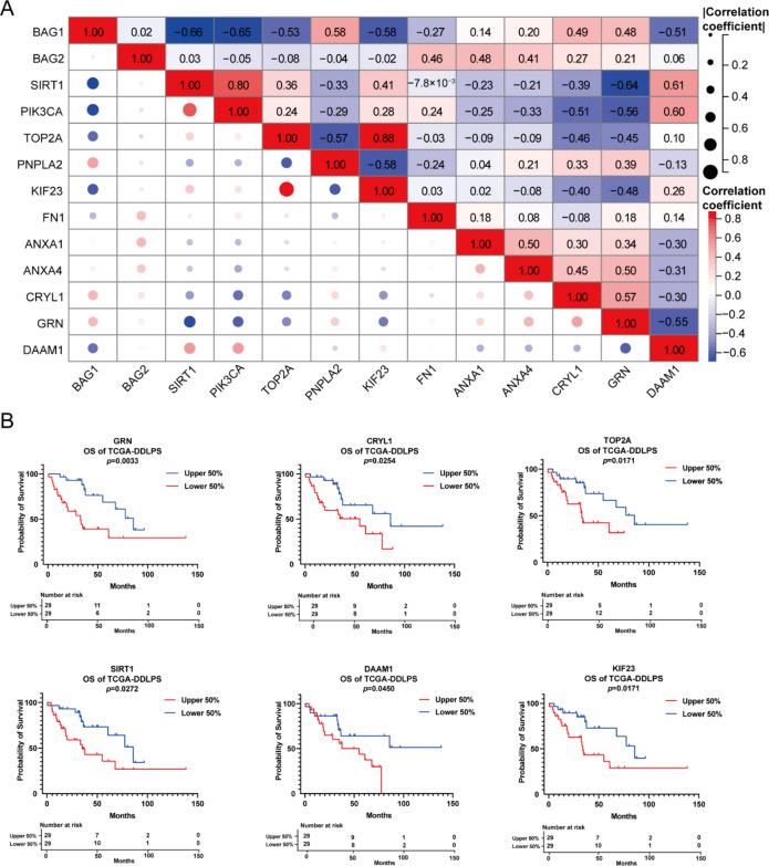 https://cdn.ncbi.nlm.nih.gov/pmc/blobs/137e/11452671/2743afde2406/41598_2024_67659_Fig3_HTML.jpg