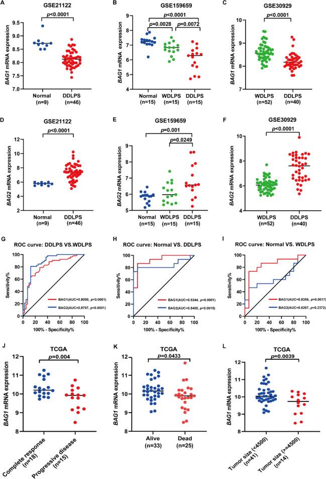 https://cdn.ncbi.nlm.nih.gov/pmc/blobs/137e/11452671/4b665ff82f58/41598_2024_67659_Fig1_HTML.jpg