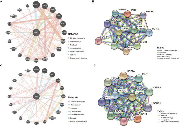 https://cdn.ncbi.nlm.nih.gov/pmc/blobs/137e/11452671/73a52c85a8c8/41598_2024_67659_Fig4_HTML.jpg