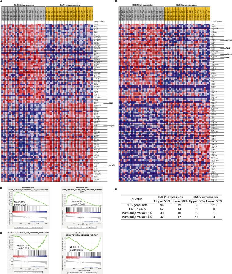 https://cdn.ncbi.nlm.nih.gov/pmc/blobs/137e/11452671/d06453d93ec5/41598_2024_67659_Fig6_HTML.jpg