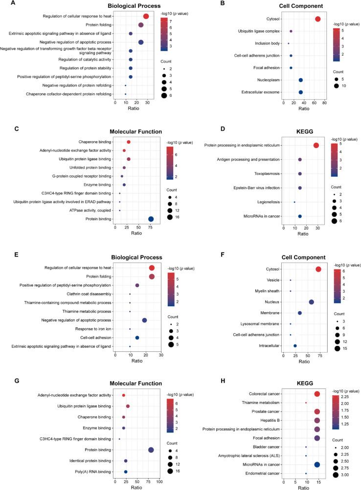 https://cdn.ncbi.nlm.nih.gov/pmc/blobs/137e/11452671/fc9cc4f4f012/41598_2024_67659_Fig5_HTML.jpg