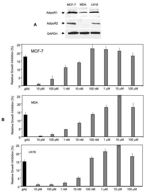 https://cdn.ncbi.nlm.nih.gov/pmc/blobs/137f/3198688/9317ecb03537/1472-6750-11-90-2.jpg