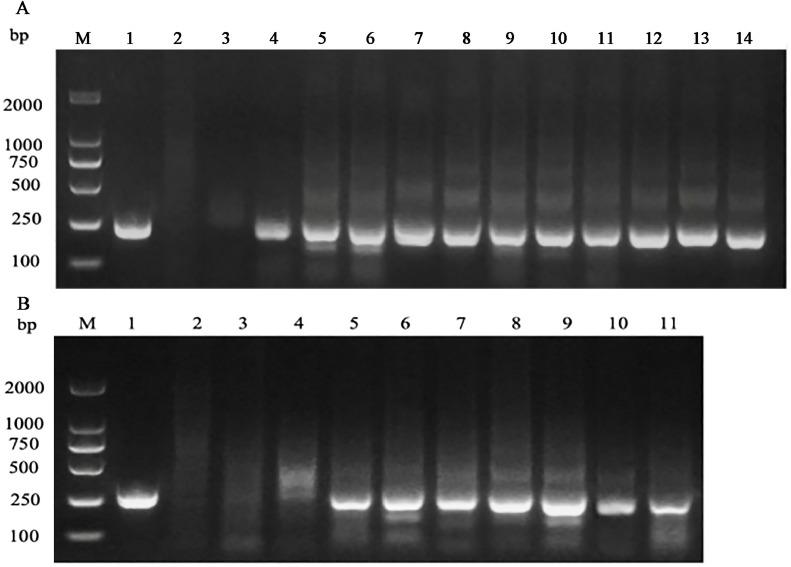https://cdn.ncbi.nlm.nih.gov/pmc/blobs/1380/11570712/d0b5f7c56d61/gr2.jpg