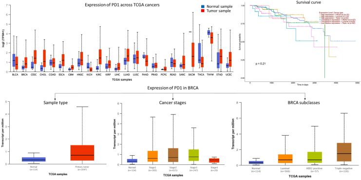 https://cdn.ncbi.nlm.nih.gov/pmc/blobs/1382/10311058/064916e9f203/gr5.jpg