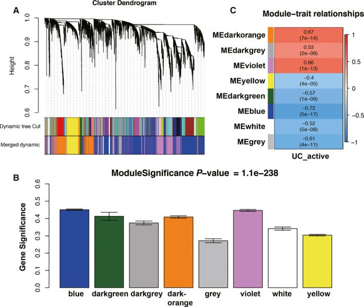 https://cdn.ncbi.nlm.nih.gov/pmc/blobs/1382/7412415/2323d0d7e093/JCMM-24-8803-g003.jpg