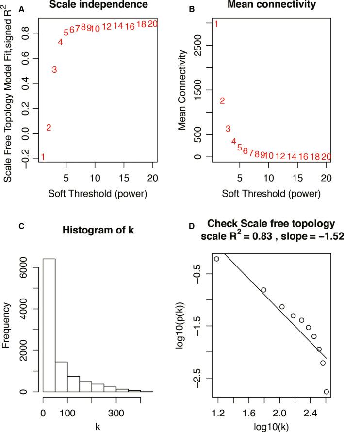 https://cdn.ncbi.nlm.nih.gov/pmc/blobs/1382/7412415/4f62208270ea/JCMM-24-8803-g002.jpg