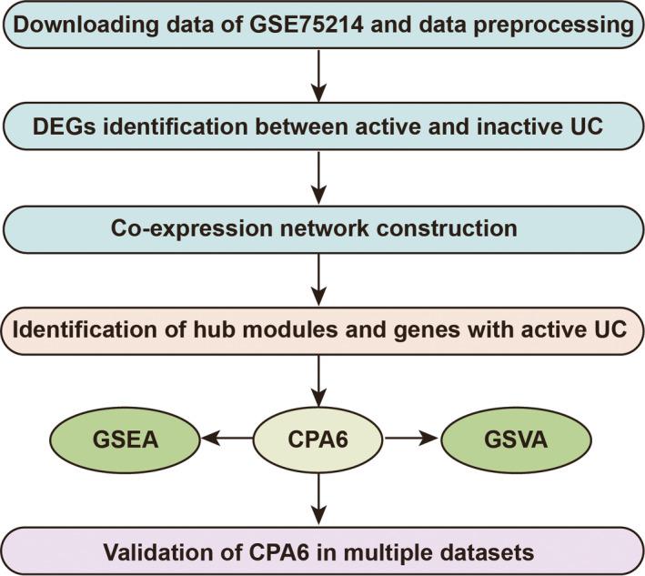 https://cdn.ncbi.nlm.nih.gov/pmc/blobs/1382/7412415/bd49892d69ec/JCMM-24-8803-g001.jpg
