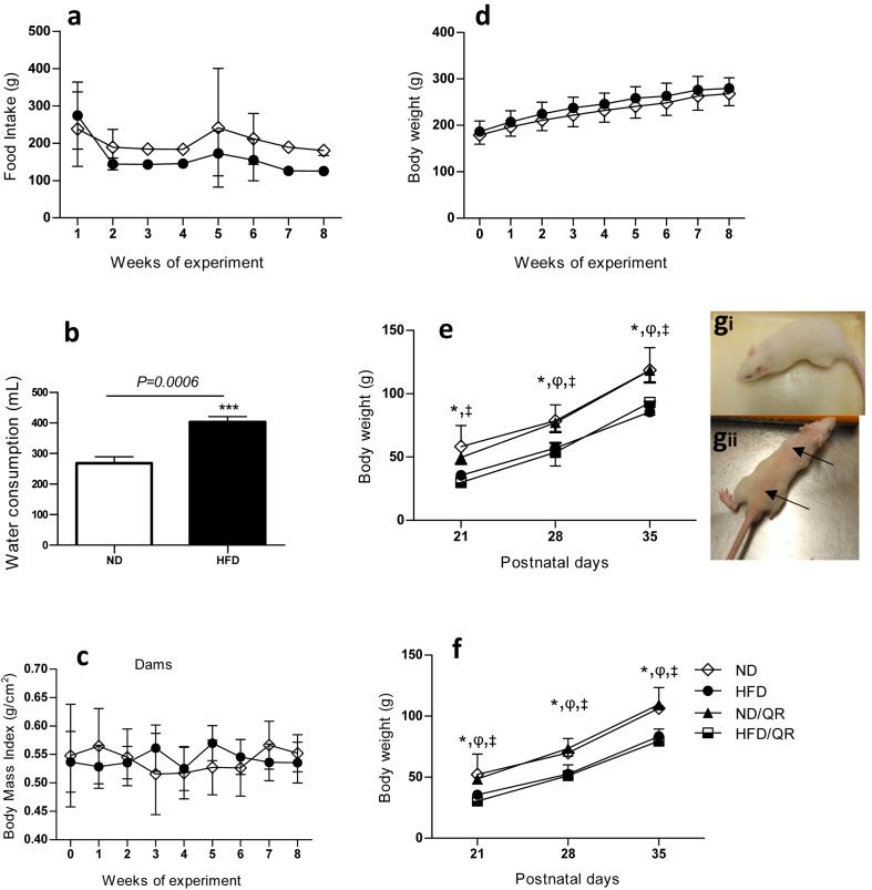 https://cdn.ncbi.nlm.nih.gov/pmc/blobs/1383/8102762/b642756a1fe1/gr2.jpg