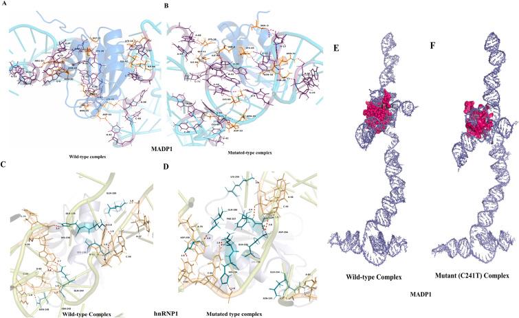 https://cdn.ncbi.nlm.nih.gov/pmc/blobs/1383/8294647/cfd9429dfc9f/gr2_lrg.jpg