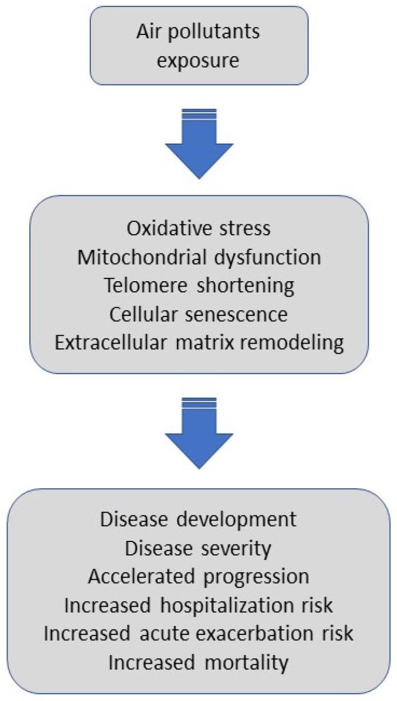 https://cdn.ncbi.nlm.nih.gov/pmc/blobs/1385/7794751/d0ad202aea41/jcm-10-00077-g002.jpg
