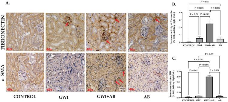 https://cdn.ncbi.nlm.nih.gov/pmc/blobs/1386/10777912/2190277287cc/cells-13-00056-g007.jpg
