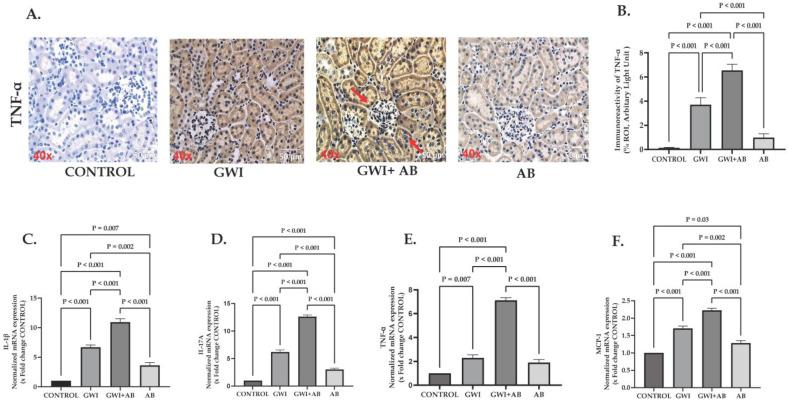 https://cdn.ncbi.nlm.nih.gov/pmc/blobs/1386/10777912/3b55291da4e8/cells-13-00056-g002.jpg