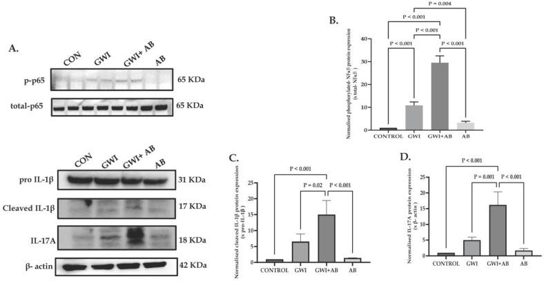 https://cdn.ncbi.nlm.nih.gov/pmc/blobs/1386/10777912/3eaefff4d37a/cells-13-00056-g001.jpg