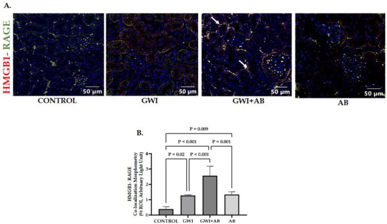 https://cdn.ncbi.nlm.nih.gov/pmc/blobs/1386/10777912/b2e9d6c86db9/cells-13-00056-g003.jpg