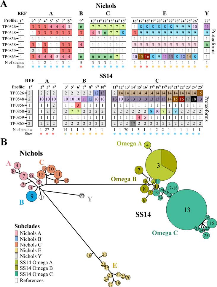 https://cdn.ncbi.nlm.nih.gov/pmc/blobs/138a/12369335/16ff1a79a12b/jb.00159-25.f007.jpg