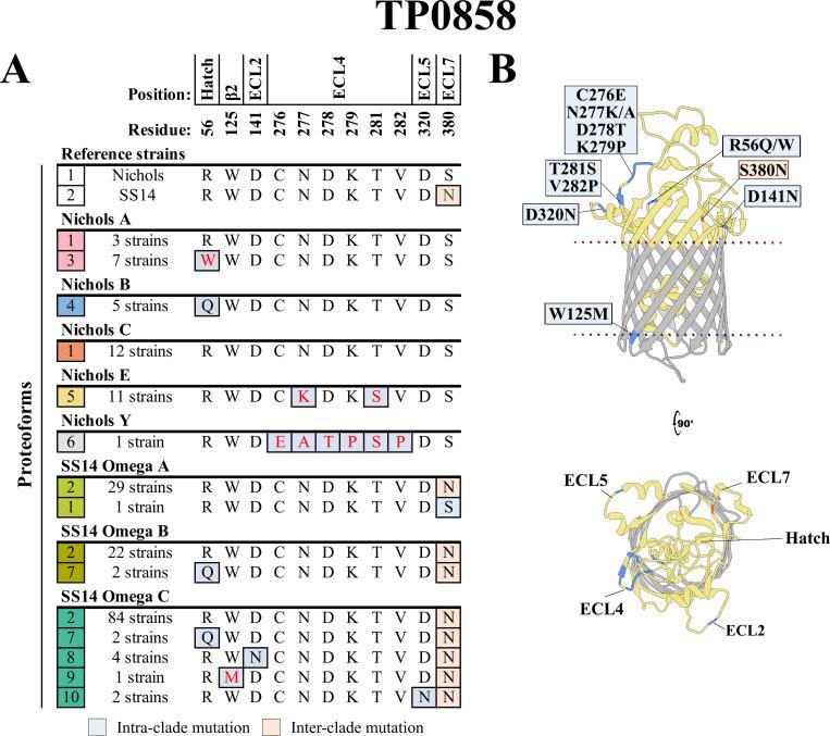 https://cdn.ncbi.nlm.nih.gov/pmc/blobs/138a/12369335/19de2f7d407d/jb.00159-25.f004.jpg