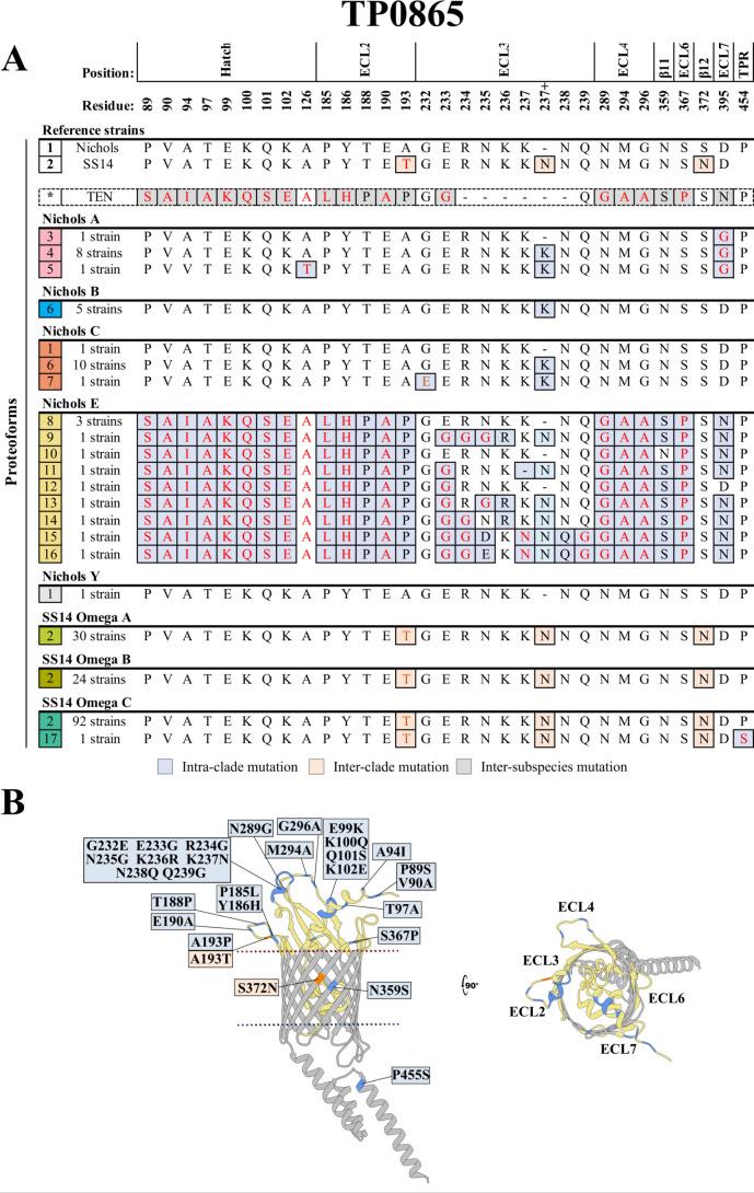 https://cdn.ncbi.nlm.nih.gov/pmc/blobs/138a/12369335/1efb6651d6b1/jb.00159-25.f006.jpg