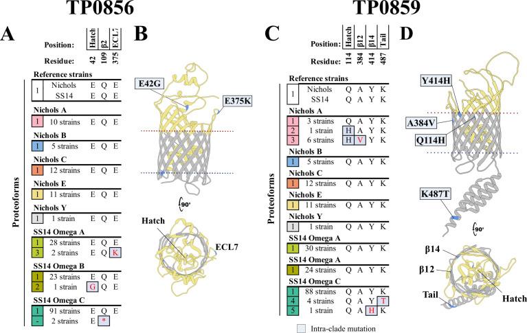 https://cdn.ncbi.nlm.nih.gov/pmc/blobs/138a/12369335/445fe7cf2814/jb.00159-25.f003.jpg