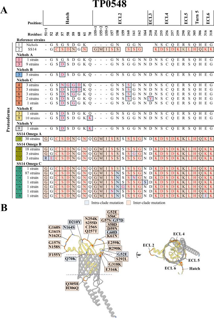 https://cdn.ncbi.nlm.nih.gov/pmc/blobs/138a/12369335/957ff4097cb4/jb.00159-25.f005.jpg