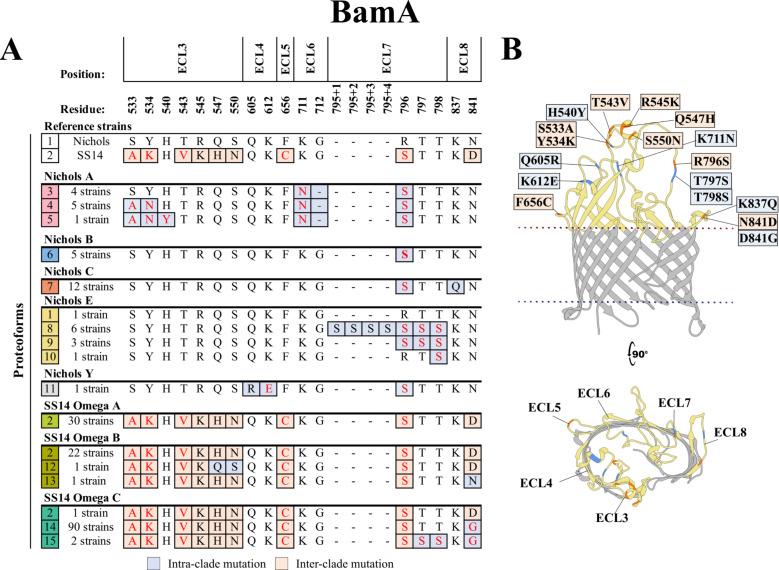 https://cdn.ncbi.nlm.nih.gov/pmc/blobs/138a/12369335/96efc3bcb056/jb.00159-25.f002.jpg