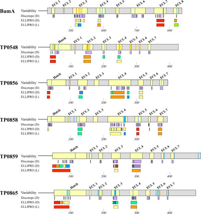 https://cdn.ncbi.nlm.nih.gov/pmc/blobs/138a/12369335/ea3f83c28c04/jb.00159-25.f008.jpg