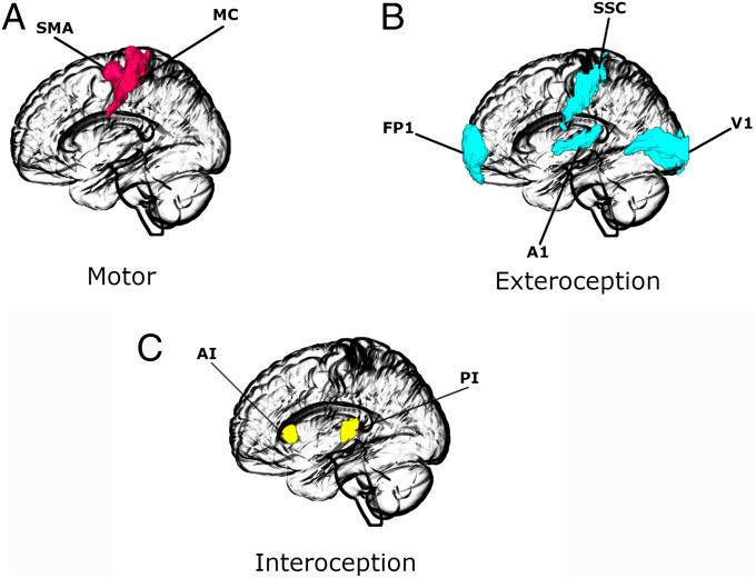 https://cdn.ncbi.nlm.nih.gov/pmc/blobs/138b/8501855/3ee1b8b4b57a/pnas.2105730118fig04.jpg