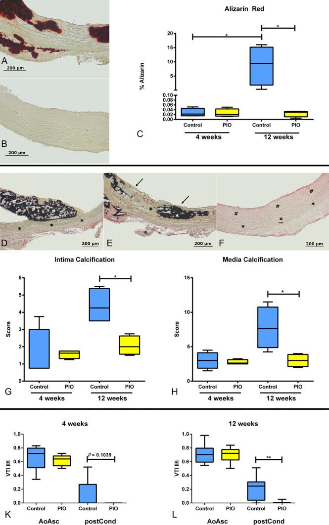 https://cdn.ncbi.nlm.nih.gov/pmc/blobs/138c/8728763/aa37b0233e8a/jcvp-79-e103-g005.jpg