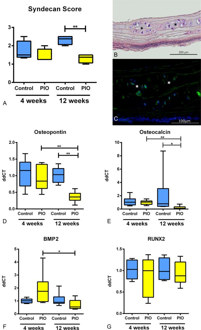 https://cdn.ncbi.nlm.nih.gov/pmc/blobs/138c/8728763/fc816cfd6ca1/jcvp-79-e103-g004.jpg