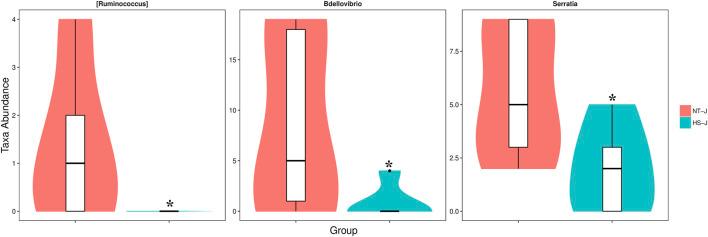 https://cdn.ncbi.nlm.nih.gov/pmc/blobs/138c/9168313/1fd82164a950/fphys-13-913696-g004.jpg