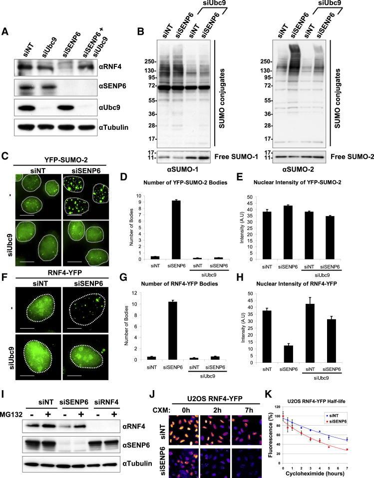 https://cdn.ncbi.nlm.nih.gov/pmc/blobs/138e/3991395/aa690d1b155f/gr3.jpg