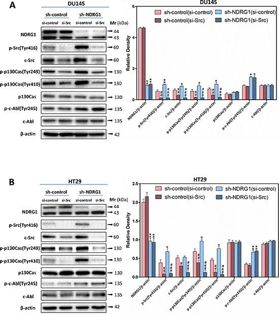 https://cdn.ncbi.nlm.nih.gov/pmc/blobs/1390/4496188/a554118ca582/oncotarget-06-8851-g007.jpg