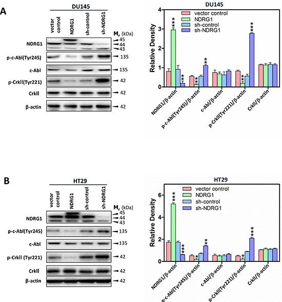 https://cdn.ncbi.nlm.nih.gov/pmc/blobs/1390/4496188/a760acb3d7f7/oncotarget-06-8851-g006.jpg
