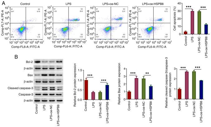 https://cdn.ncbi.nlm.nih.gov/pmc/blobs/1391/11294906/2a6a53c3aba4/mmr-30-03-13295-g01.jpg
