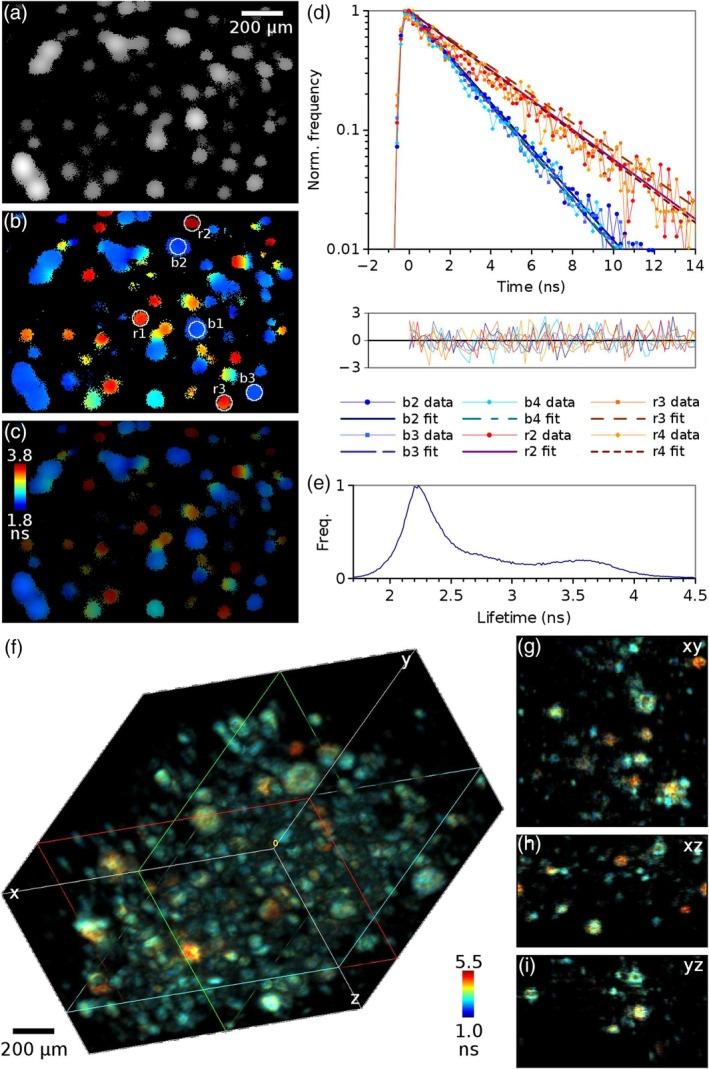 https://cdn.ncbi.nlm.nih.gov/pmc/blobs/1391/7065631/4622c26da34d/JBIO-13-e201960099-g003.jpg