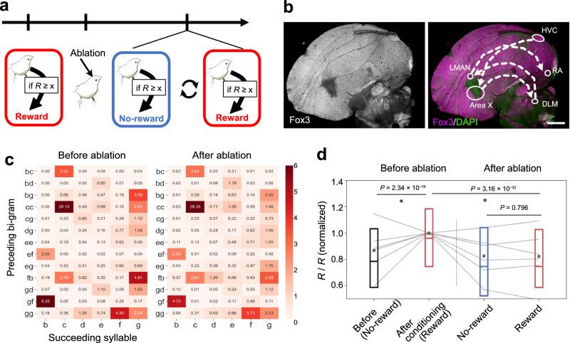 https://cdn.ncbi.nlm.nih.gov/pmc/blobs/1393/11043396/3b0bbd12d2ef/41467_2024_47824_Fig5_HTML.jpg