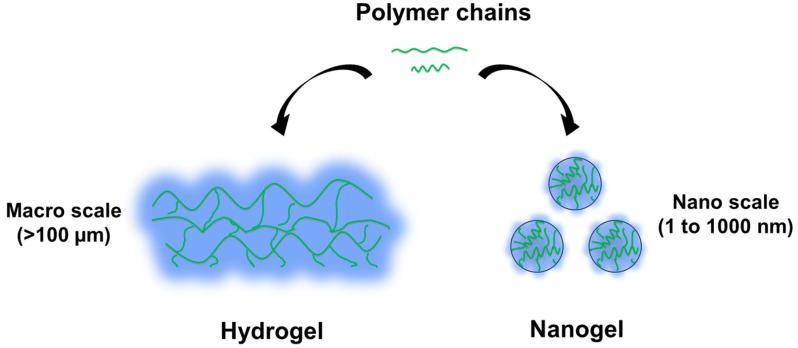https://cdn.ncbi.nlm.nih.gov/pmc/blobs/1394/10606589/594993955f68/gels-09-00838-g001.jpg