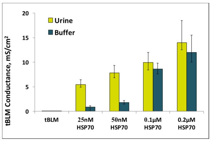 https://cdn.ncbi.nlm.nih.gov/pmc/blobs/1394/8301313/852e27c1e827/biomedicines-09-00755-g007.jpg