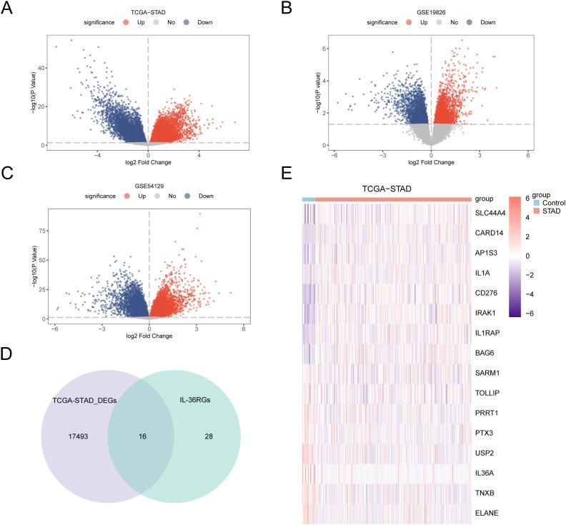https://cdn.ncbi.nlm.nih.gov/pmc/blobs/1395/12213462/23b865a99675/fonc-15-1566993-g003.jpg