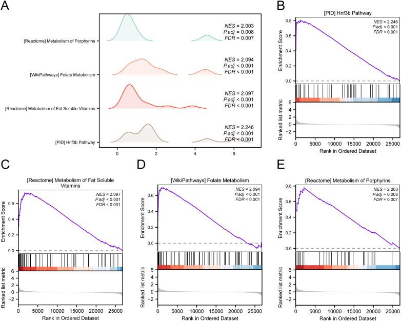 https://cdn.ncbi.nlm.nih.gov/pmc/blobs/1395/12213462/92b1c757af20/fonc-15-1566993-g006.jpg
